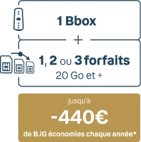 1 bbox + 1,2 ou 3 forfaits 20 Go et + et jusqu'à -440€ de BIG économies chaque année