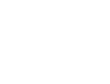 Logo 300Go 5G
